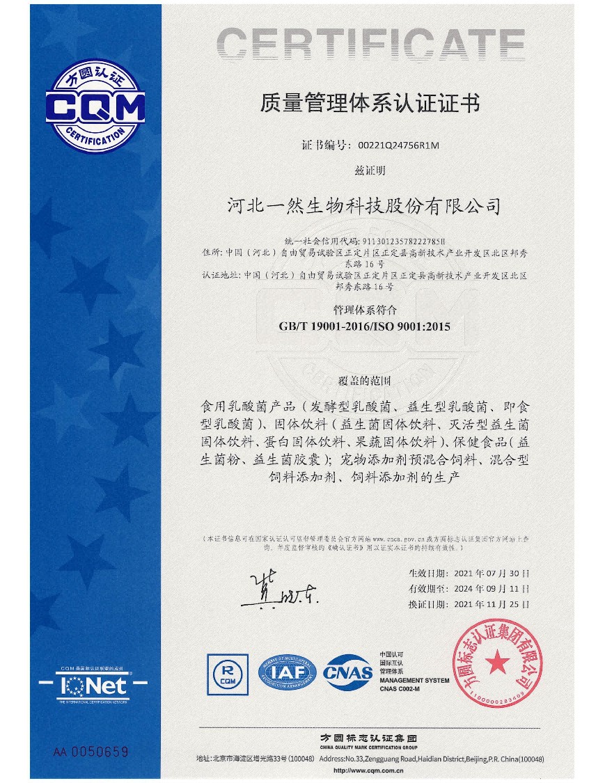 ISO 9001 质量管理体系认证